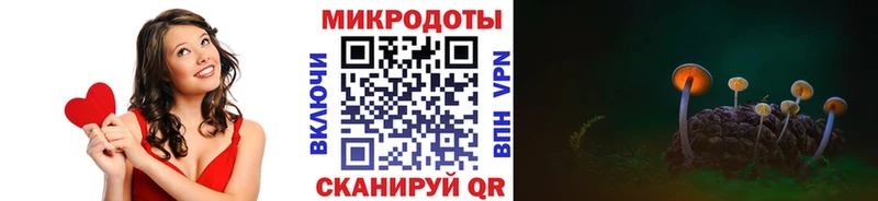 Галлюциногенные грибы Psilocybe  Майский 