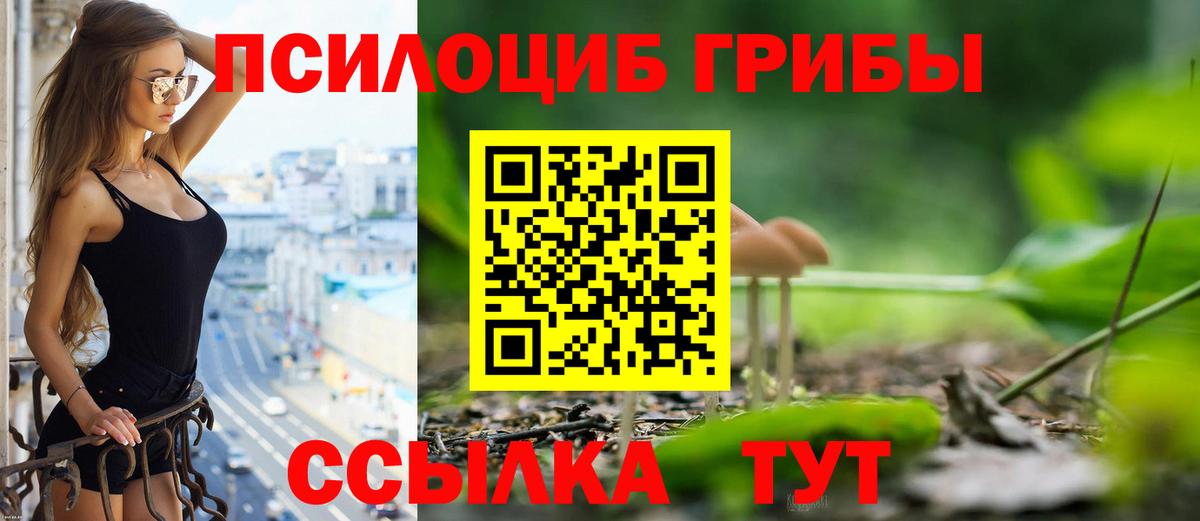 Псилоцибиновые грибы Psilocybine cubensis Майский